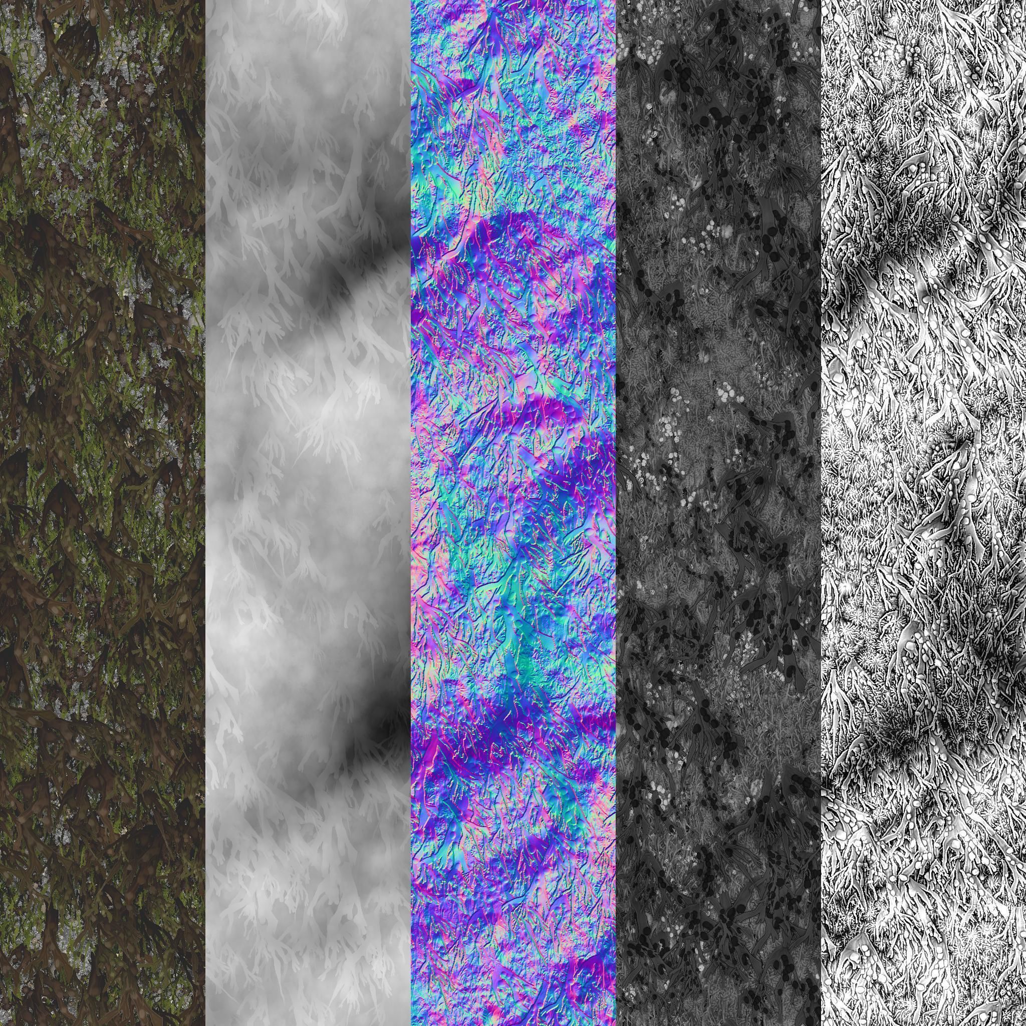 Seaweeds On Rock Tileable PBR Material Texture_7