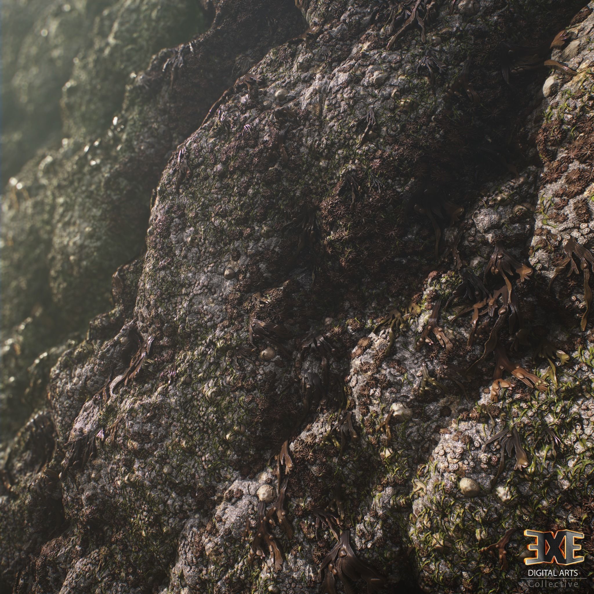 Seaweeds On Rock Tileable PBR Material Texture_3
