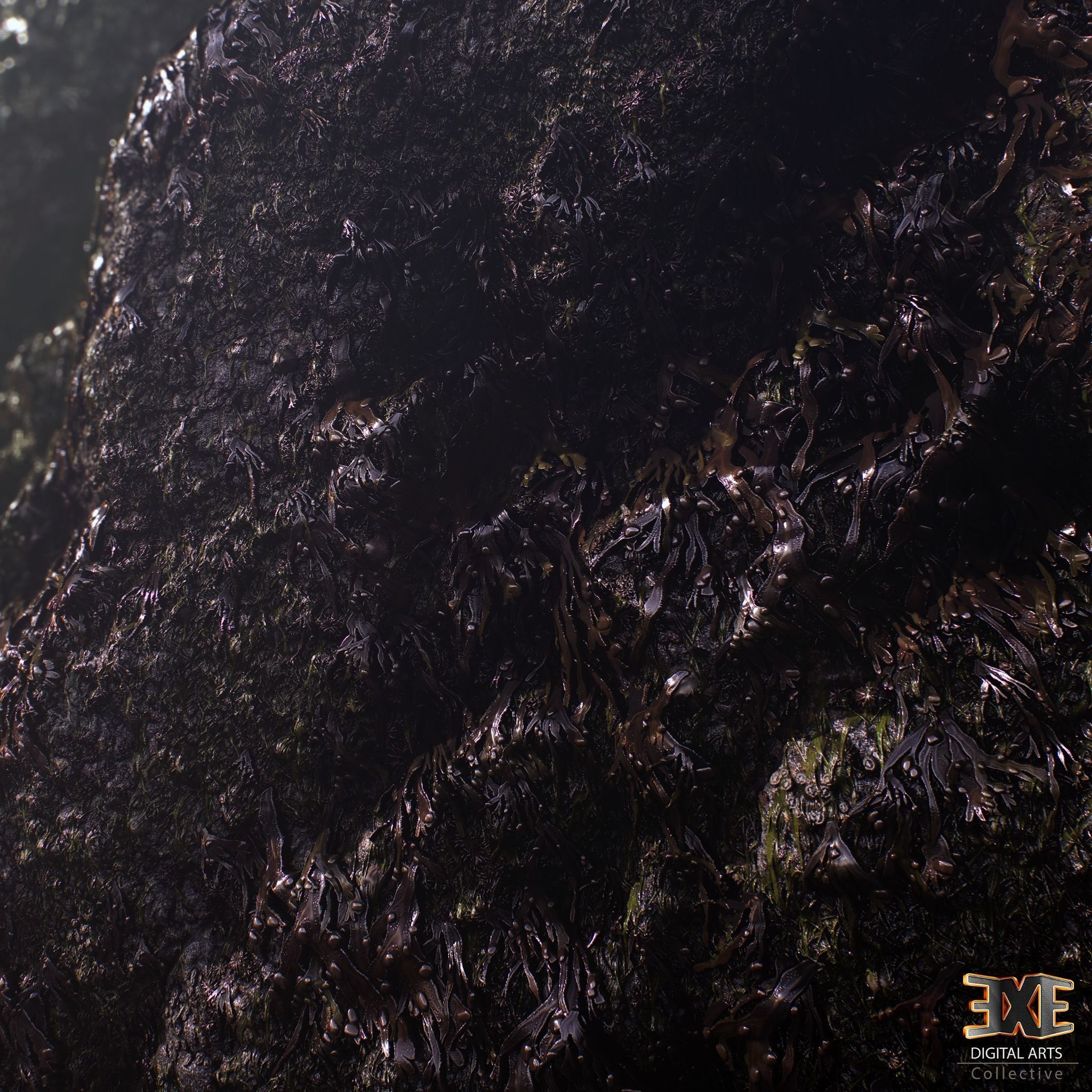 Seaweeds On Rock Tileable PBR Material Texture_6