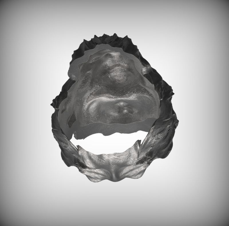 Lion Ring 3D print model_7