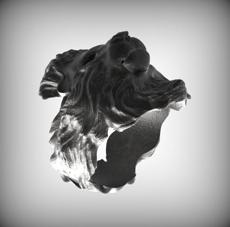 Lion Ring 3D print model_4