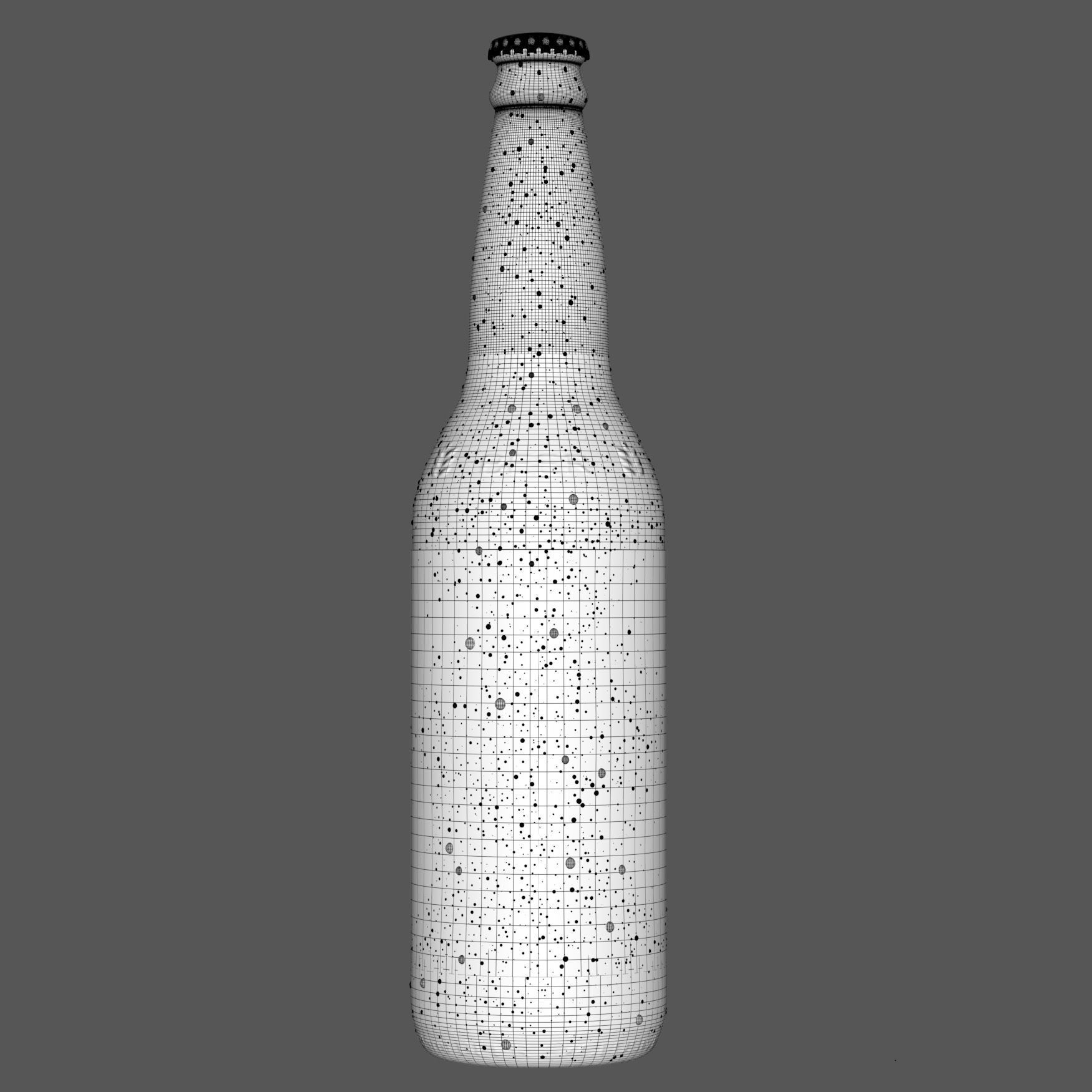 Beer Bottle Realistic 3D model_4