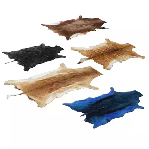 Skins of wild animals 3D model