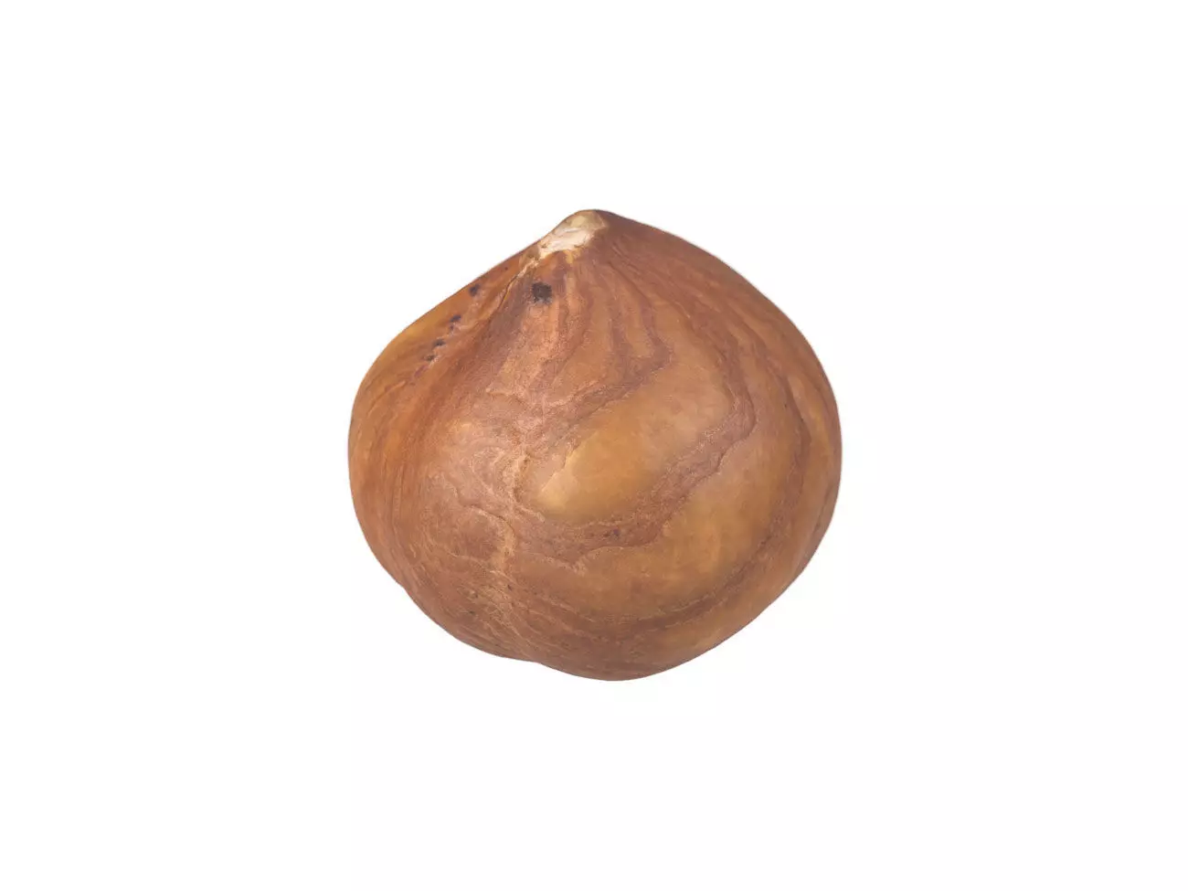 Photorealistic Hazelnut Kernel 3D Scan 3D model_0