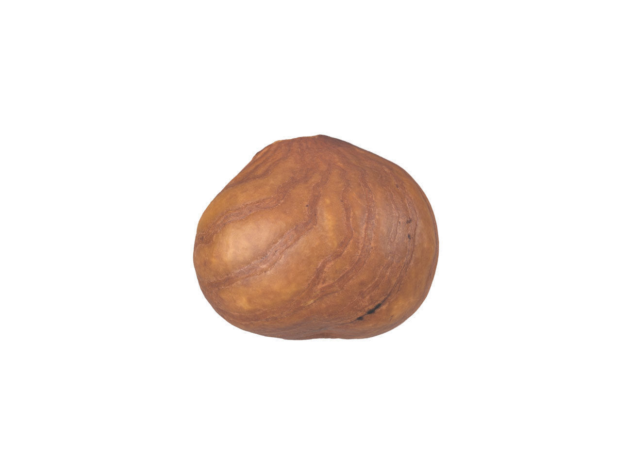 Photorealistic Hazelnut Kernel 3D Scan 3D model_5