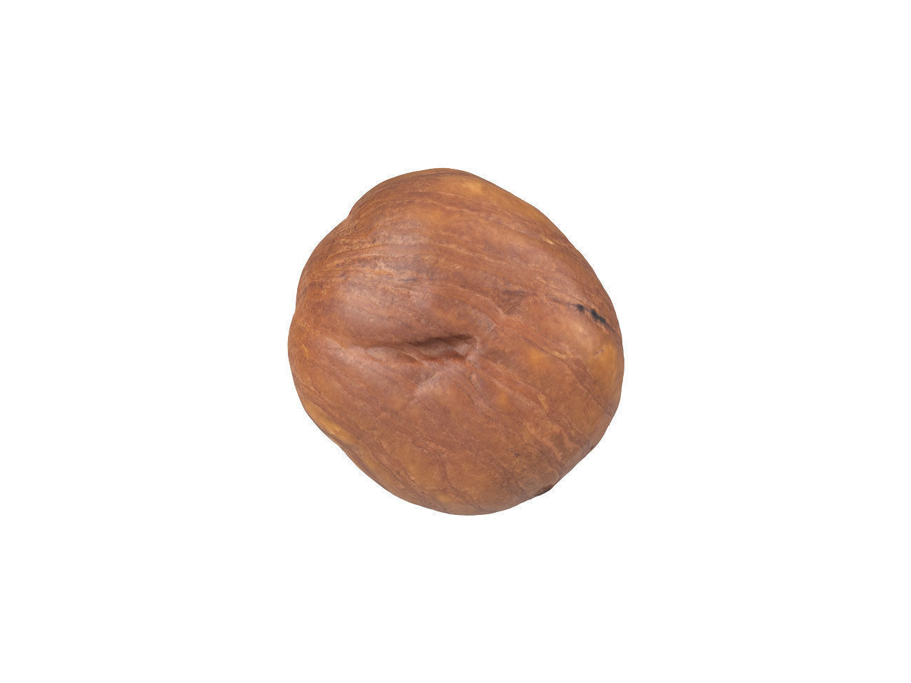Photorealistic Hazelnut Kernel 3D Scan 3D model_2