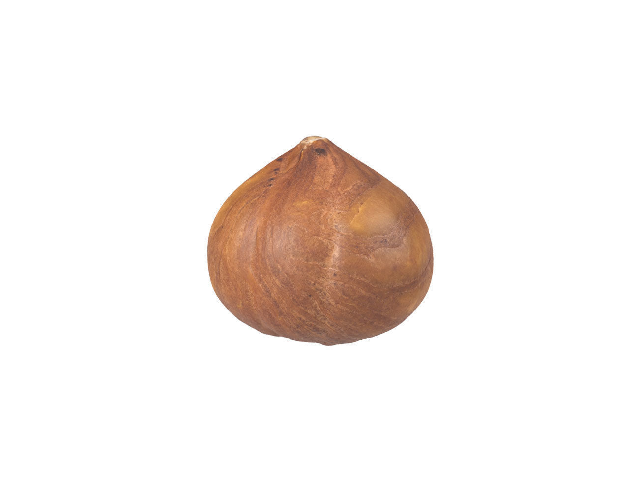 Photorealistic Hazelnut Kernel 3D Scan 3D model_4