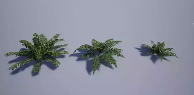 Realistic Tropical Fern