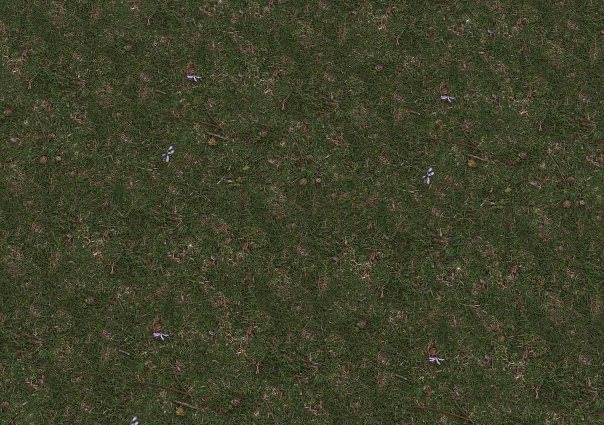 Grass Uncut Texture_5