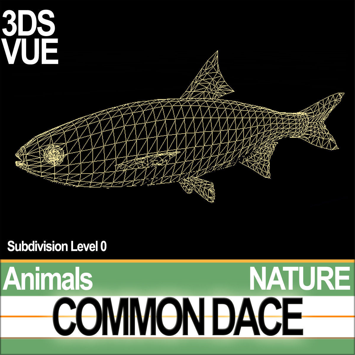 Common Dace 3D model_6