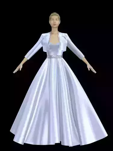 Beautiful princess gown