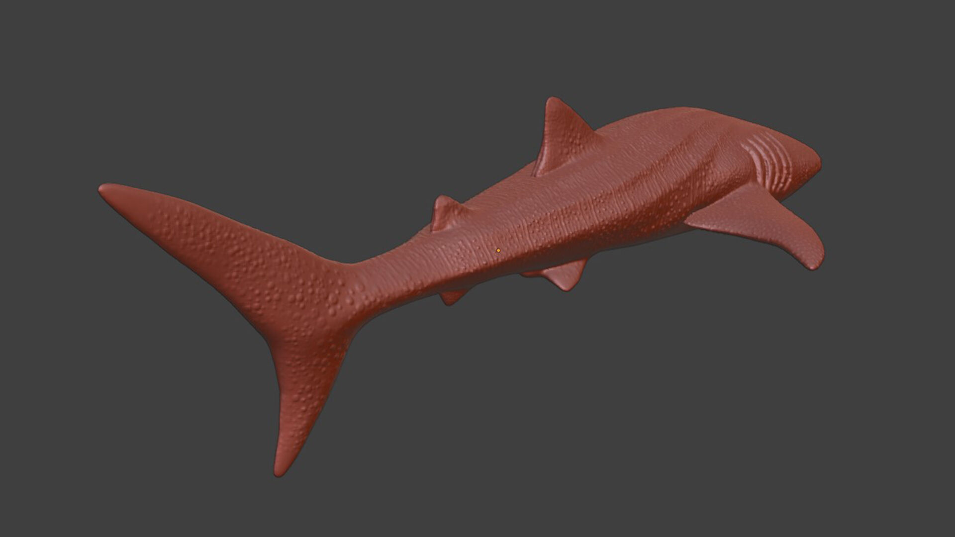 Realistic Whale Shark 3D print model_9