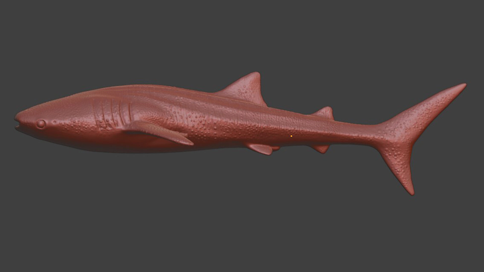 Realistic Whale Shark 3D print model_6