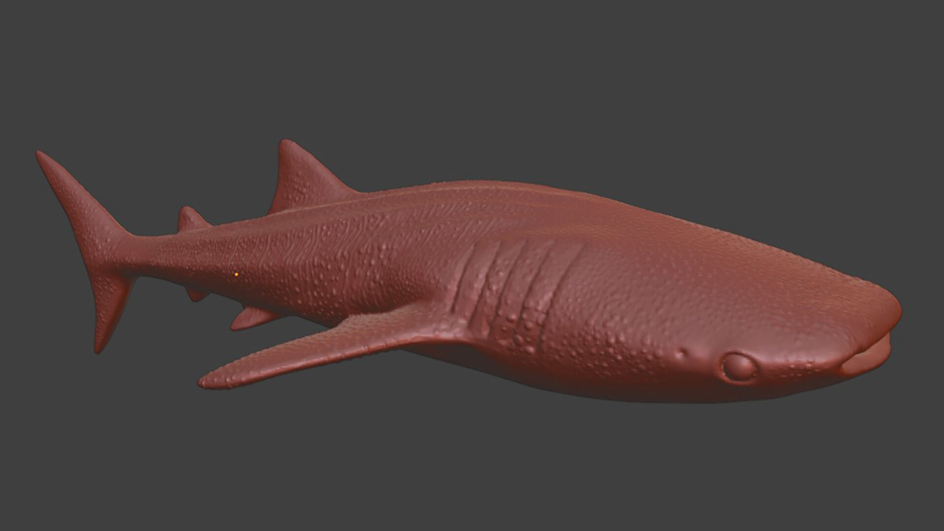 Realistic Whale Shark 3D print model_8