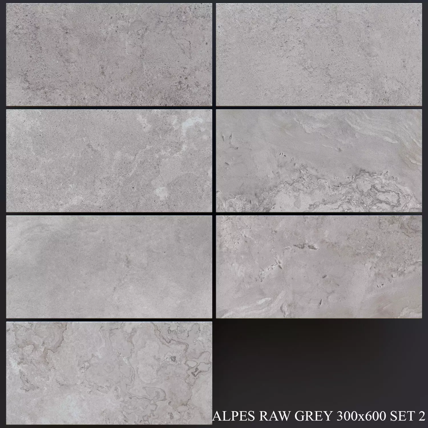 ABK Alpes Raw Grey 300x600 Set 2 3D model_0