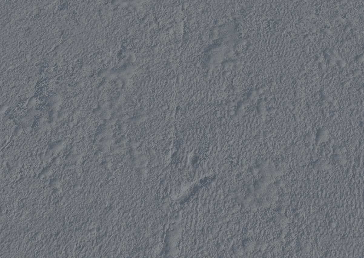 Stone Moss Texture_1