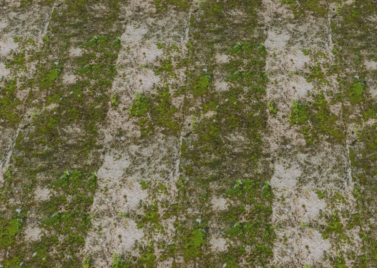 Stone Moss Texture_2