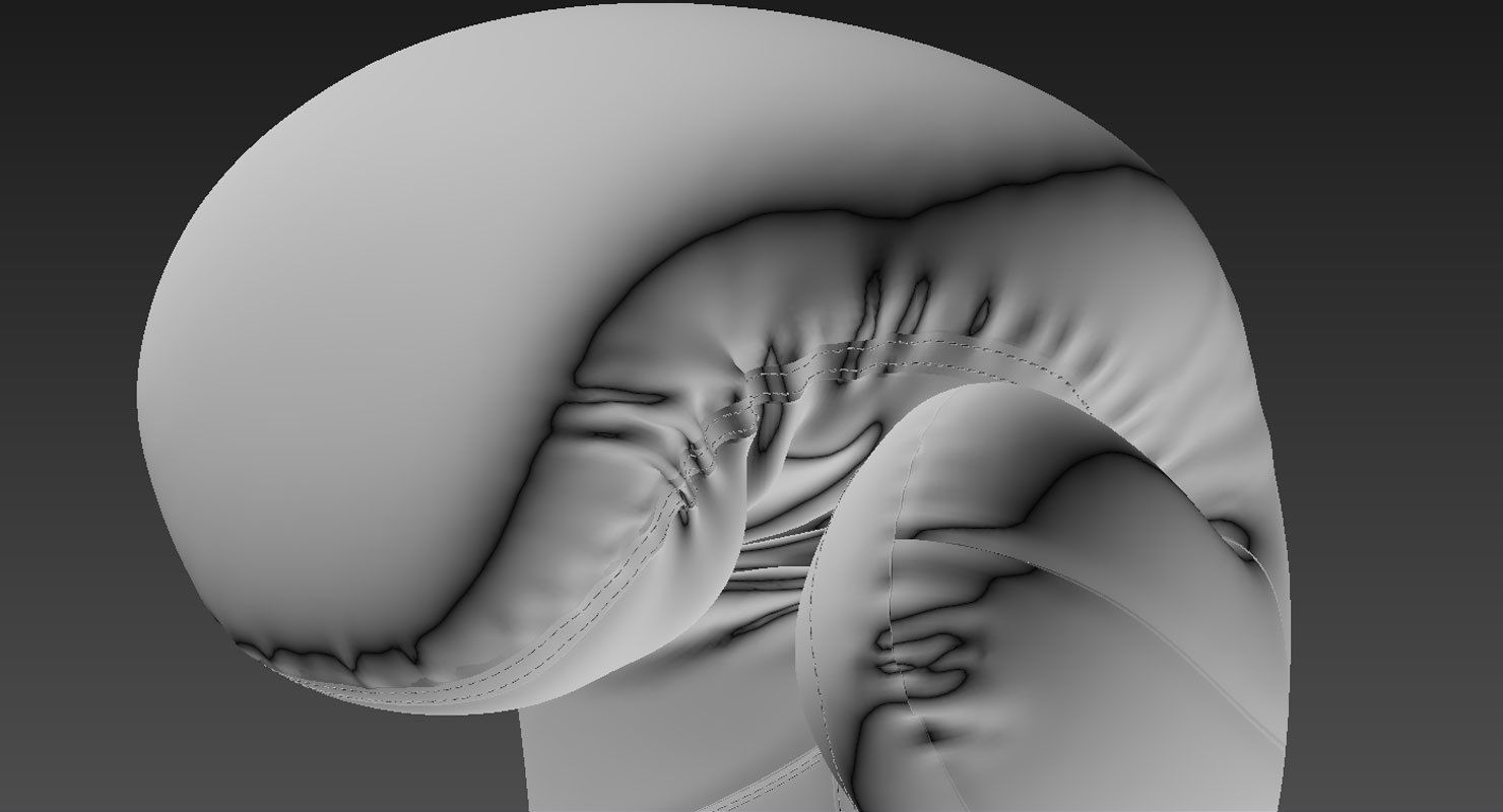 Boxing Gloves 3D model_9