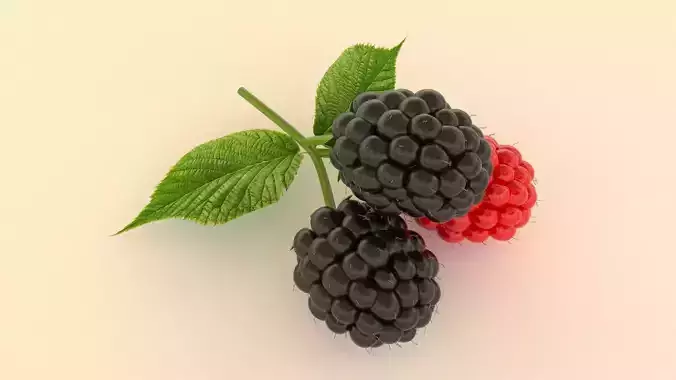 Blackberry raspberries