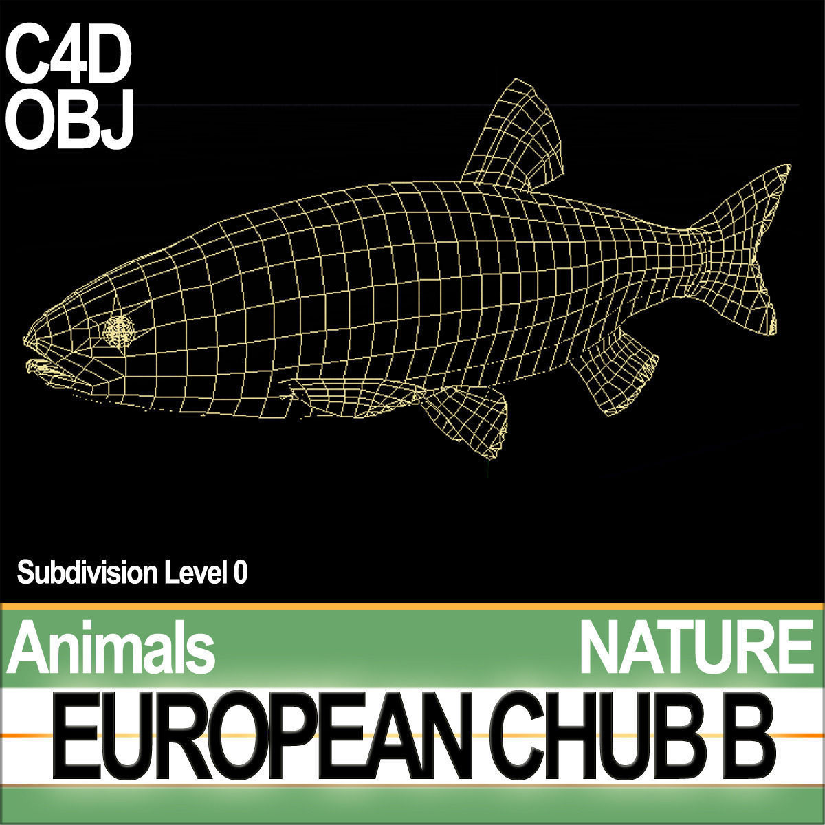 European Chub B 3D model_6
