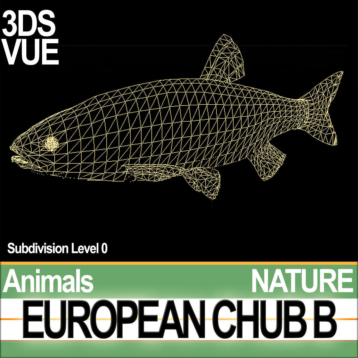 European Chub B 3D model_5