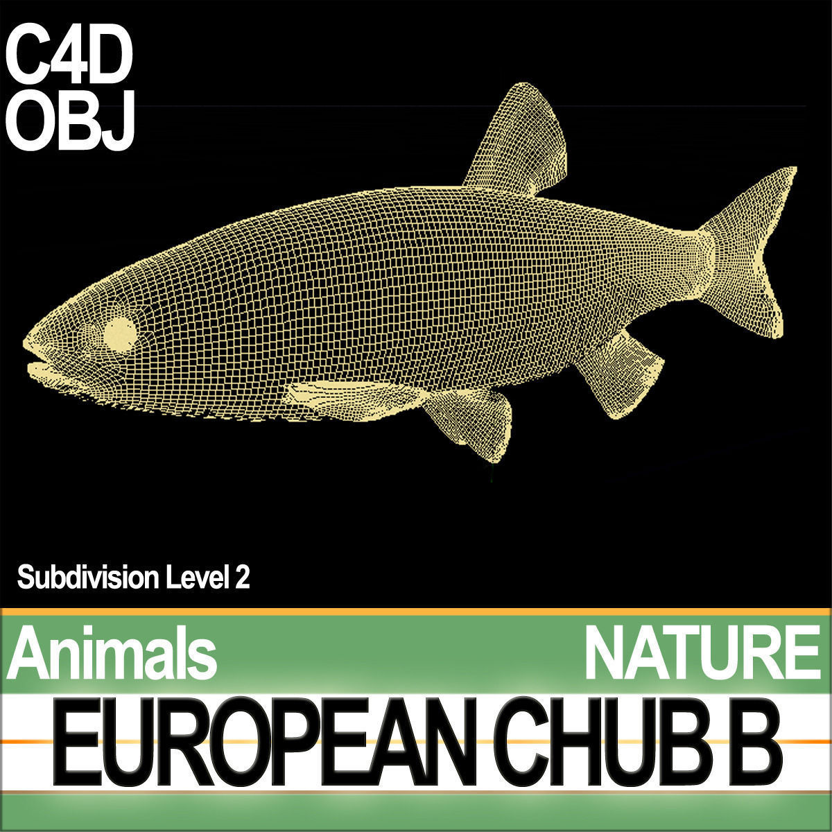 European Chub B 3D model_7