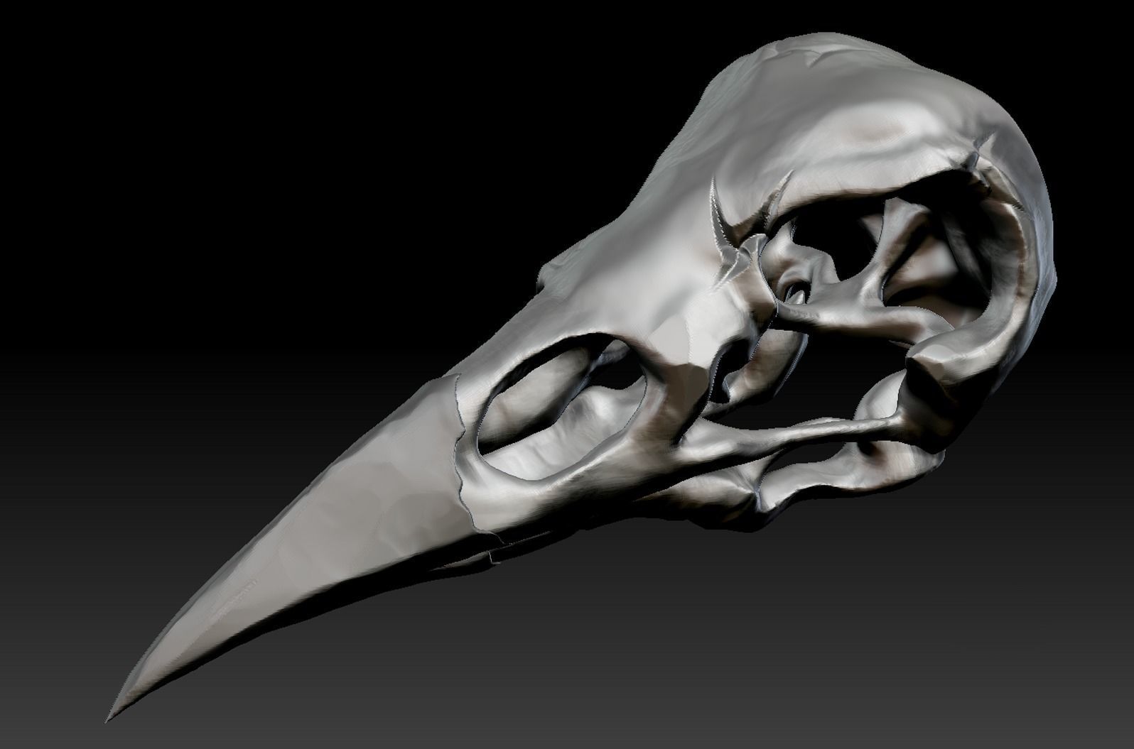 Raven skull Low-poly 3D model_5