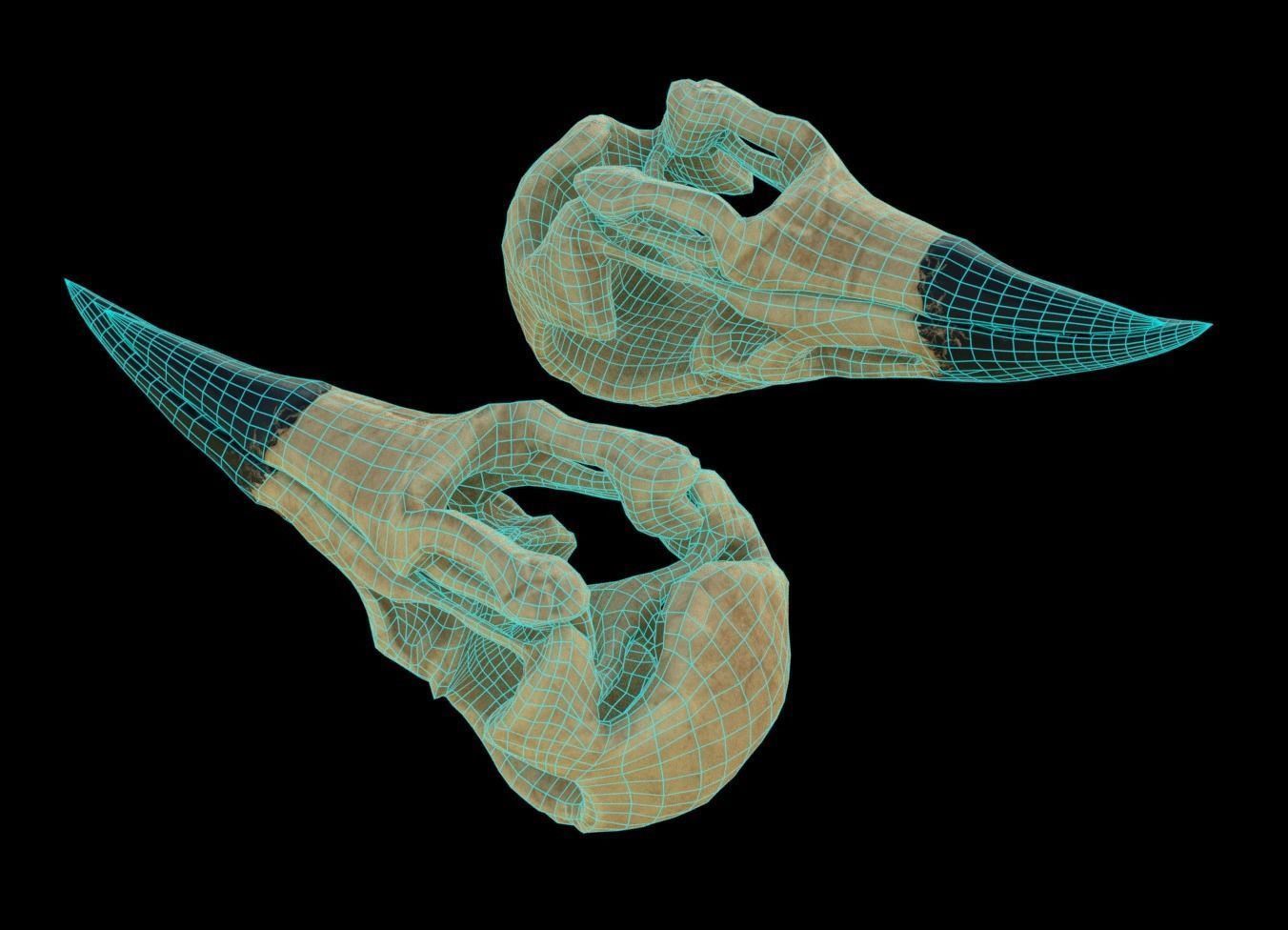 Raven skull Low-poly 3D model_8