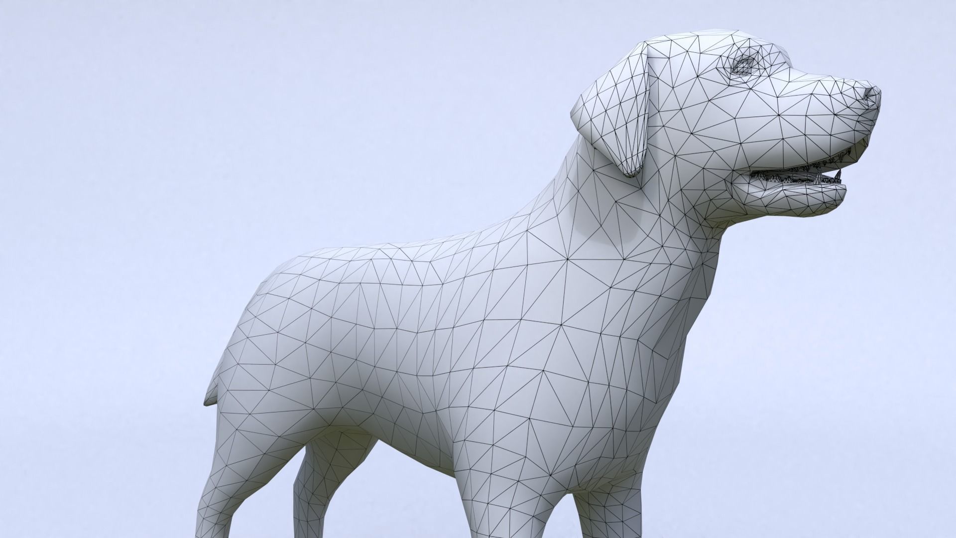 Labrador retriever Low-poly 3D model_5