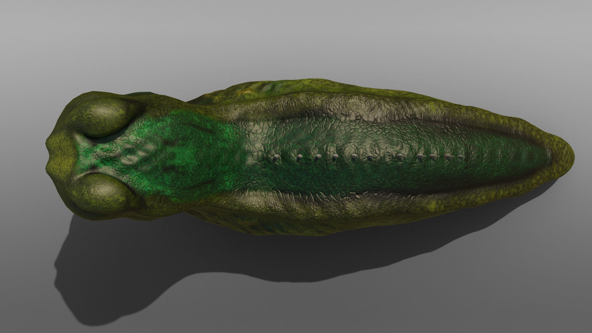 Monsterslug Lowpoly Engine Ready  Low-poly 3D model_8