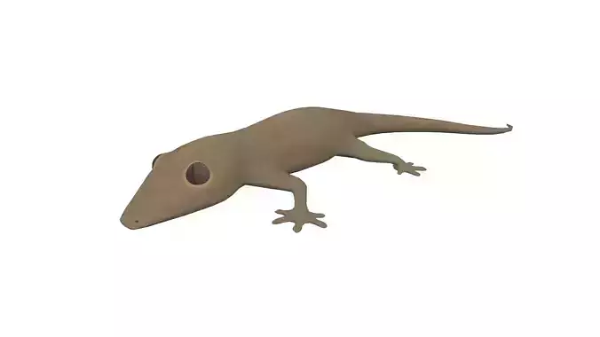 Lizard Gecko Animal 3D model