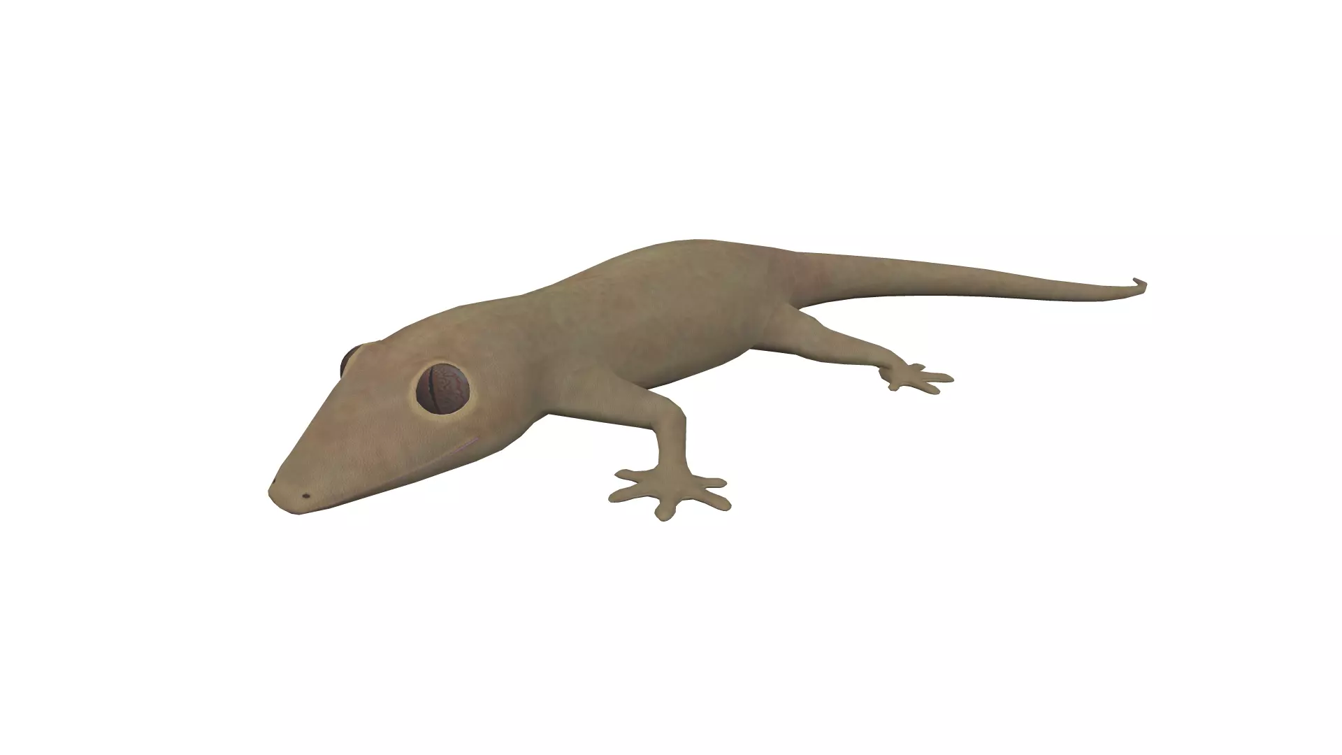 Lizard Gecko Animal 3D model Low-poly 3D model