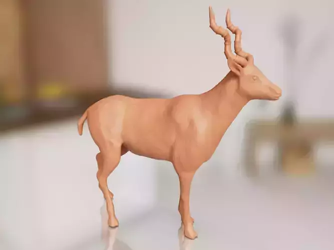 Cinematic Antelope 