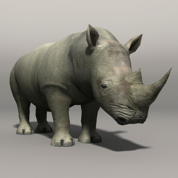 Elephant and Rhino Low-poly 3D model_6