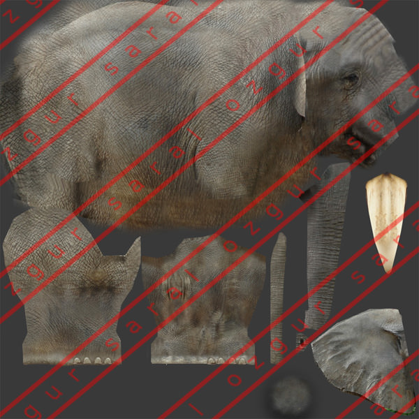 Elephant and Rhino Low-poly 3D model_5