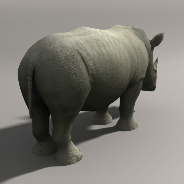Elephant and Rhino Low-poly 3D model_7