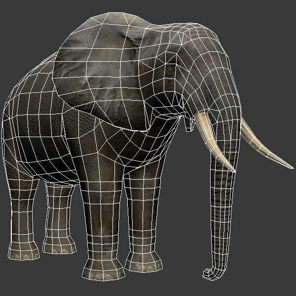 Elephant and Rhino Low-poly 3D model_4