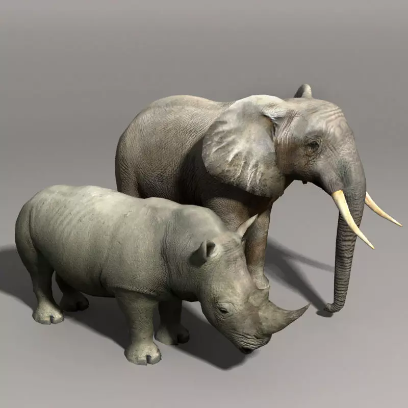 Elephant and Rhino Low-poly 3D model_0