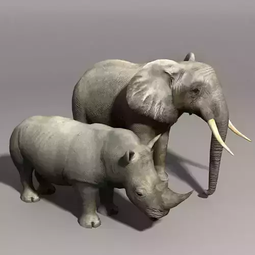 Elephant and Rhino