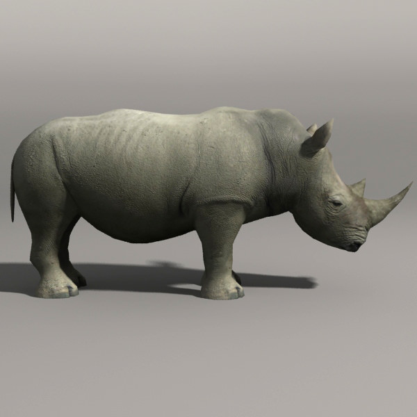 Elephant and Rhino Low-poly 3D model_8