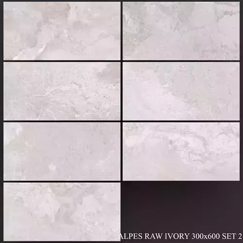 ABK Alpes Raw Ivory 300x600 Set 2 3D model