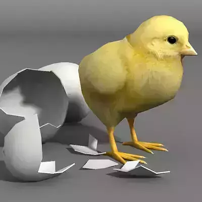 chicken and eggs Low-poly 3D model