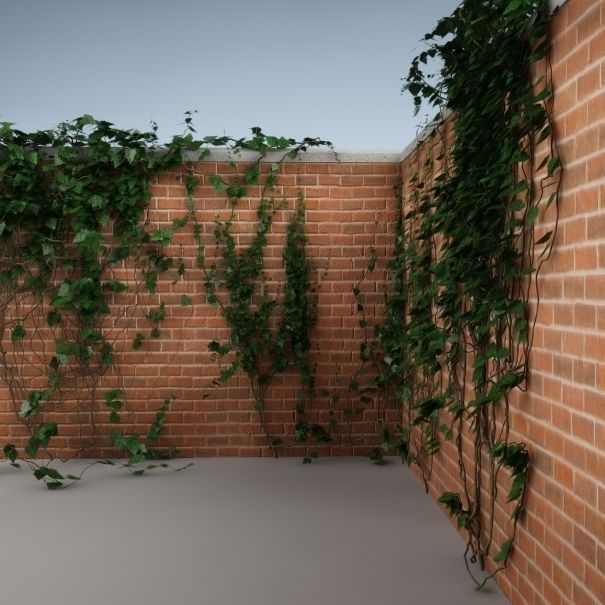 Ivy on the wall 04 3D model_1