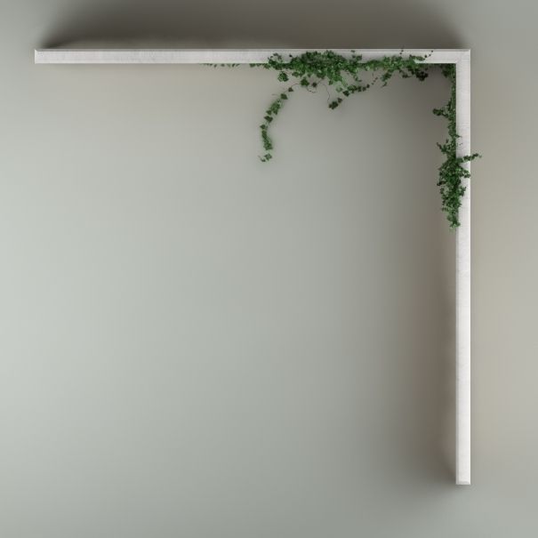 Ivy on the wall 04 3D model_5