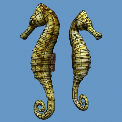 Hippocampus seahorse Low-poly 3D model_2
