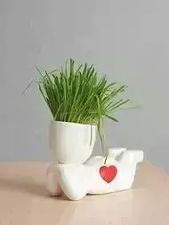 Relaxing Boy Planter for Succulents 3D print model