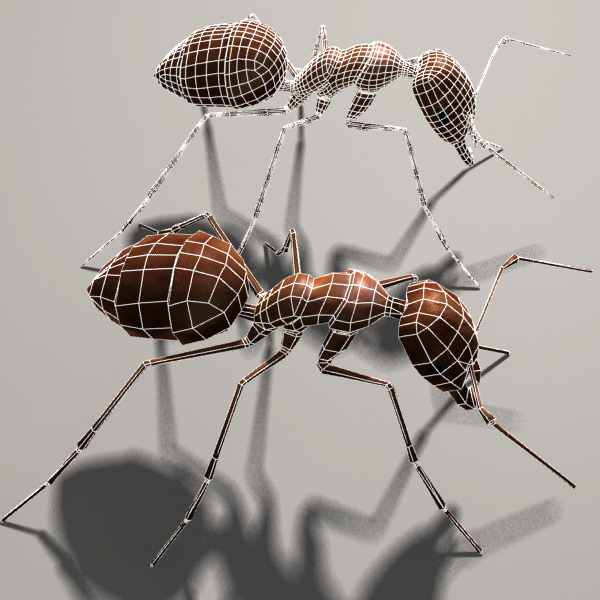 Lowpoly Ant three ants Low-poly 3D model_5