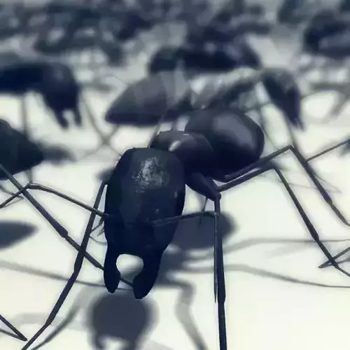 Lowpoly Ant three ants Low-poly 3D model