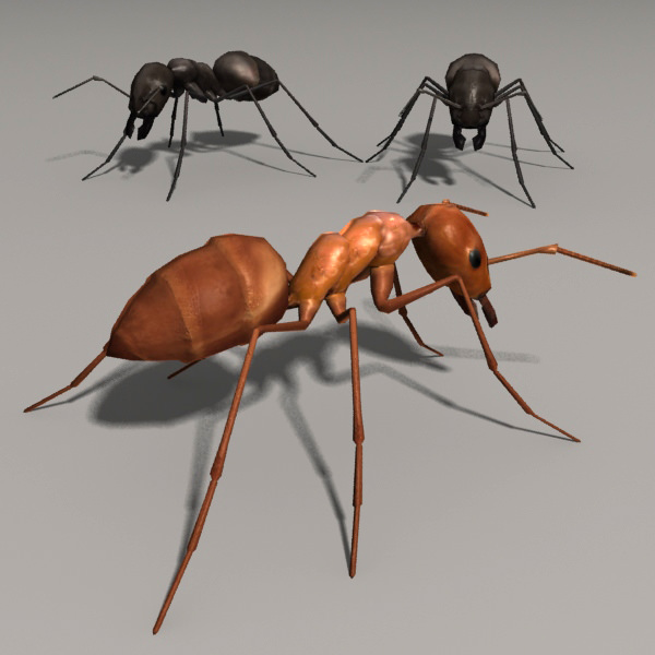 Lowpoly Ant three ants Low-poly 3D model_3