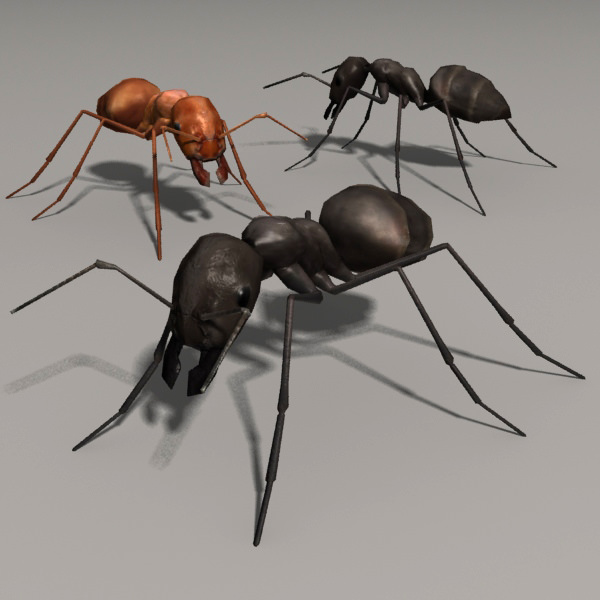Lowpoly Ant three ants Low-poly 3D model_1